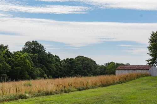 Ward Farm Tobacco Barn and Field
