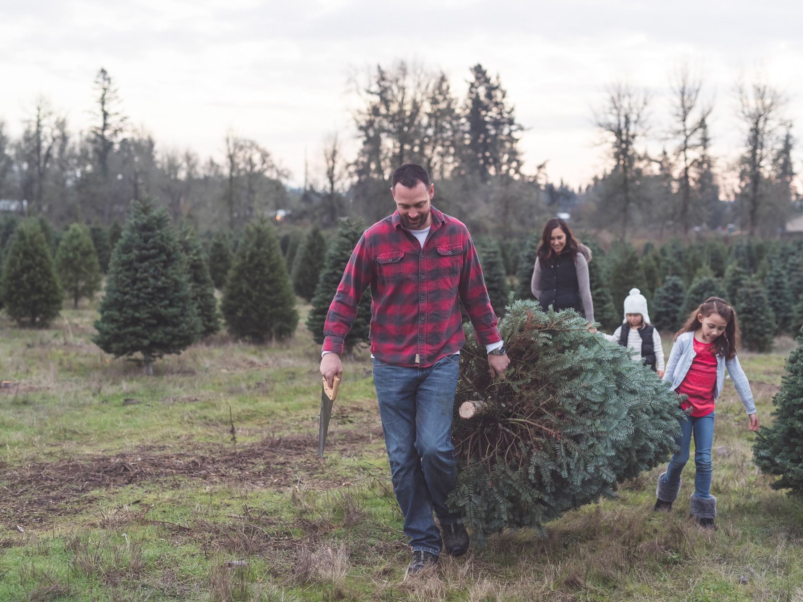 Husband, wife, and two children walking away from a tree farm carrying a Christmas tree