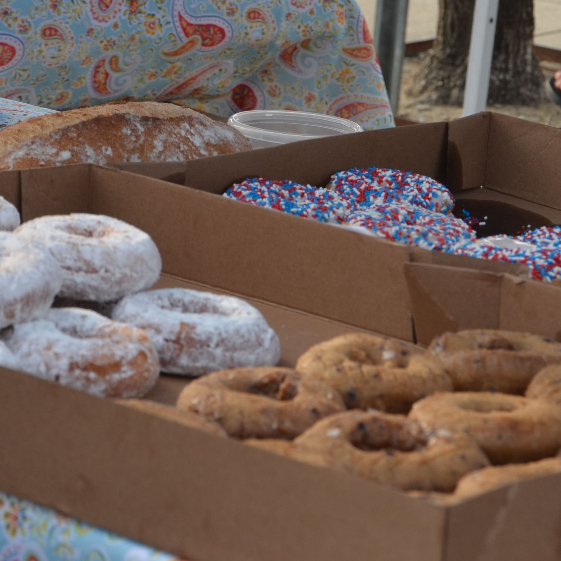Powdered and sprinkled donuts
