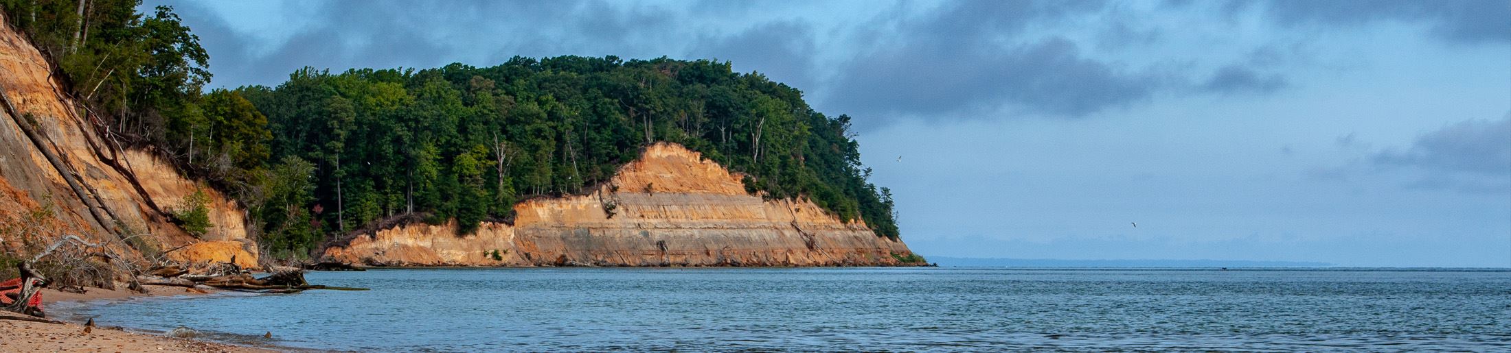 View of Calvert Cliffs and the bay