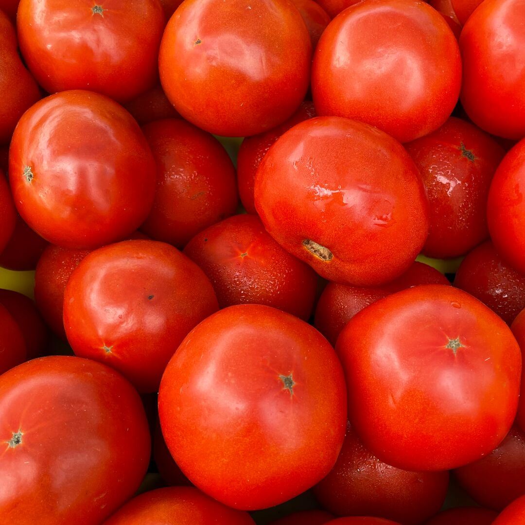 red tomatoes